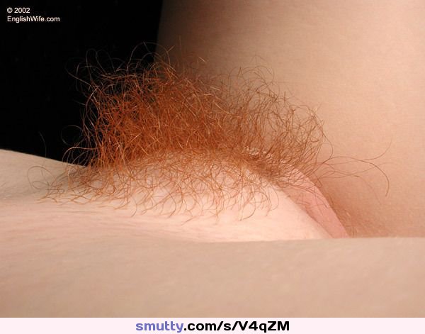 titfucking the milf next door larkin love #gingercunt #gingerpuss #gingerpussy #hairyredhead #rearview #redhead #x3vid